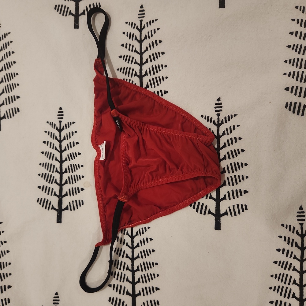 Women's Sheer Panties